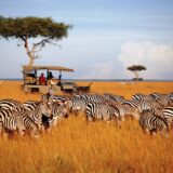 Winter safari in Kenya