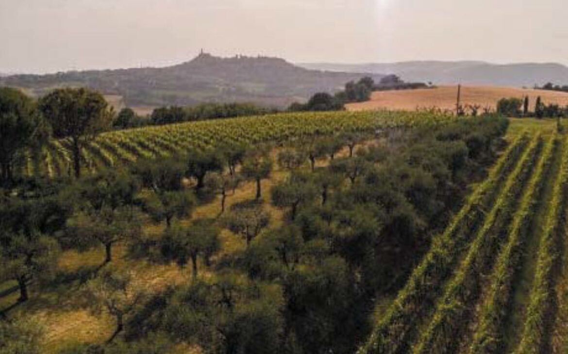 Todi e i firmamenti del vino dell’arte e delle stelle