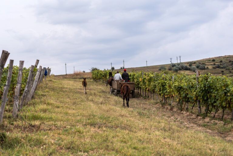 la sapata romania